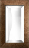 Buy 8x16 Bevel Mirror at AllPosters.com