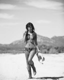 Buy Kim Kardashian at AllPosters.com