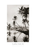 Coco Palms, Honolulu, 1935