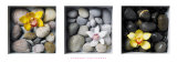 Flowers and Stones