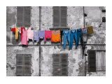 Siena Art Print