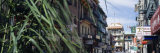 Buildings in a City, Chinatown, San Francisco, California, USA