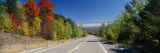 Trees Along a Road, Boreas Road, Adirondack Mountains, Hudson, New York State, USA