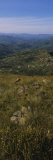 View of a Valley, Valley of 1000 Hills, Durban, Kwazulu-Natal, South Africa