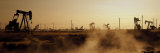 Oil Drills in a Field, Maricopa, Kern County, California, USA