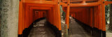 Torii Gates of a Shrine, Fushimi Inari-Taisha, Fushimi Ward, Kyoto, Honshu, Japan