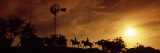Silhouette of Two Horse Riders at Sunset, Hunt, Kerr County, Texas, USA