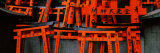 Torii Gates of a Shrine, Fushimi Inari-Taisha, Fushimi Ward, Kyoto, Honshu, Japan