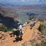 Buy Tourists on Horseback Returning from Trekking in the Grand Canyon, Arizona, USA at AllPosters.com