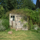 Buy Overgrown Garden Shed at AllPosters.com