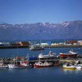 Buy Fishing Boats in Harbour, Husavik, North Iceland, Polar Regions at AllPosters.com