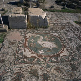 Buy Bird Mosaic on Floor of Roman Basilica of the 5th Century AD in Soli, Soli, North Cyprus at AllPosters.com