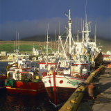 Buy Fishing Boats by the Quay in the Harbour at Husavik, North Iceland, Polar Regions at AllPosters.com