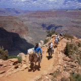 Buy Returning on Horseback, Grand Canyon, UNESCO World Heritage Site, Arizona, USA at AllPosters.com