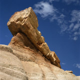 Buy Petrified Forest in Arizona, United States of America, North America at AllPosters.com