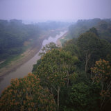 Buy Morning Mists in Rio Negro Region of Amazon Rainforest, Amazonas State, Brazil, South America at AllPosters.com