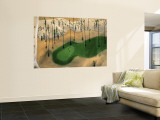 Golf Course, Phoenix, Arizona