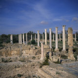 Buy Columns of Hellenistic Gymnasium, Salamis, North Cyprus at AllPosters.com