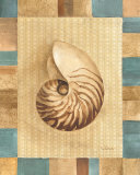 Seashell III