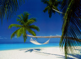 Maldives Island - Hammock