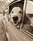Are We There Yet