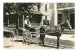 Horse-Drawn Cart on Elm Street
