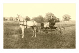Buy Man in Horse-Drawn Carriage in Grass at AllPosters.com
