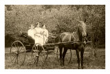 Buy Three Women in Horse-Drawn Buggy at AllPosters.com