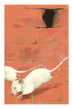 Fleeing White Mice