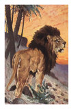 Lion in the Desert