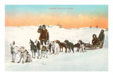 Sled Dog Team