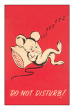 Buy Do Not Disturb, Sleeping Mouse at AllPosters.com