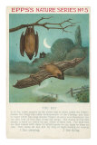 Buy Facts About Bats at AllPosters.com
