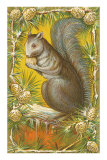 Squirrel in Pine Cones