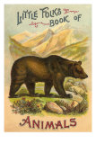 Buy Bear on Book Cover at AllPosters.com