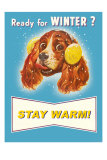 Ready for Winter  Stay Warm Dog