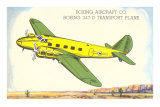 Boeing 247-D Transport Plane