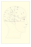 Buy Lines on the Head at AllPosters.com