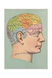 Phrenology Chart of Head