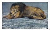 Pensive Lion