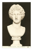 Buy Bust of Apollo at AllPosters.com