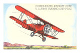 Buy Army Training Biplane PT11C at AllPosters.com