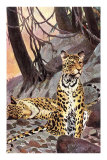 Leopards in the Hills