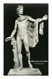 Buy The Belvedere Apollo at AllPosters.com