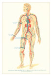 Buy Where to Put the Tourniquet at AllPosters.com