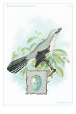 Mockingbird and Egg