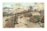 Buy Hopi Indian in Petrified Forest, Arizona at AllPosters.com