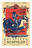 Bullfighting from Acapulco