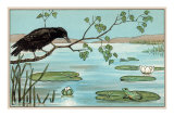 The Crow and the Frog
