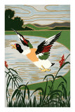 Mallard in Flight